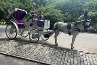 New York Central Park Horse Carriage Ride thumbnail 4