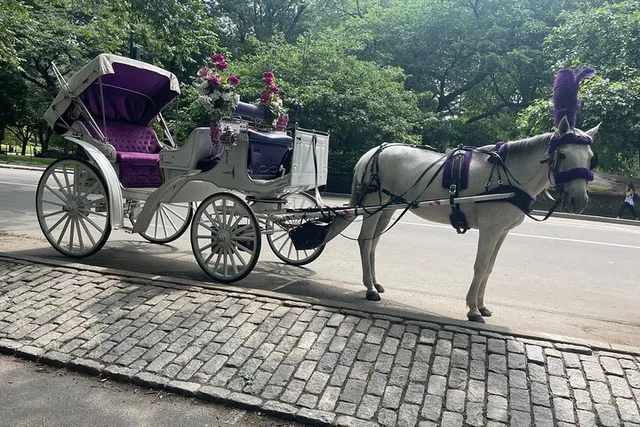 New York Central Park Horse Carriage Ride - Image 4