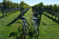 Mattituck North Fork Bike Tour thumbnail 4