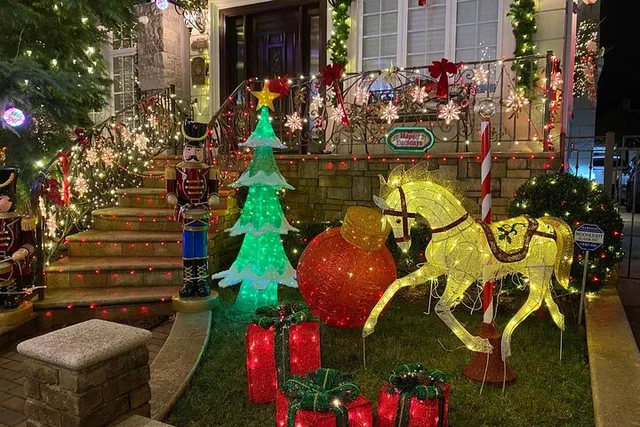 New York Christmas Lights Tour - Image 3