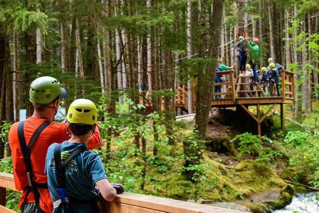 Grizzly Falls Ziplining Expedition in Alaska - Image 2