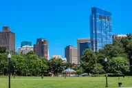 Boston Walking Tour with Official Guide 4 hr thumbnail 6