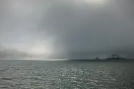 Tomales Bay Midweek Kayak Tour thumbnail 6