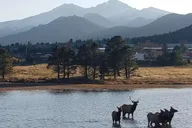 Denver Rocky Mountain National Park Tour with Picnic Lunch thumbnail 2