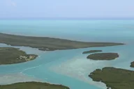 Miami Key Largo Private Airplane Tour 50 min thumbnail 5