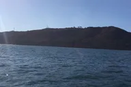 San Diego Marine Wildlife Tour with Lunch thumbnail 4