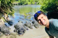 Orlando Gatorland Day Trip thumbnail 2