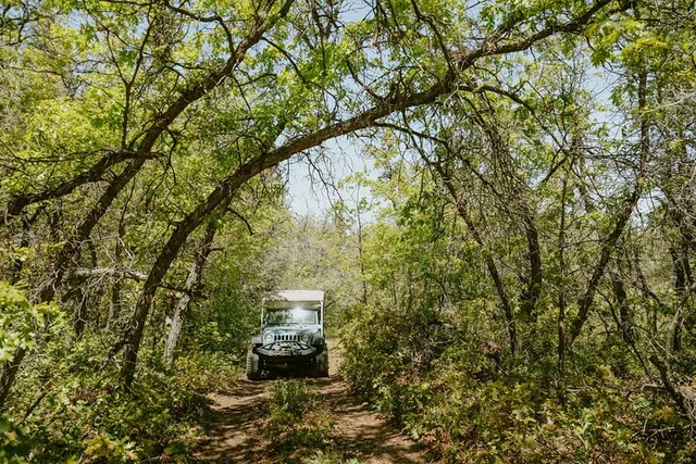 East Zion Jeep Tour Brushy Cove 90 min - Image 2