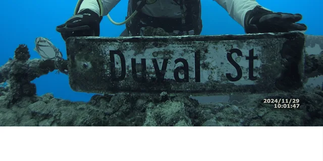 Key West Vandenberg Wreck Dive 4.5 hr - Image 2