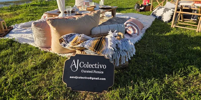San Diego Paint and Sip Picnic Experience - Image 2