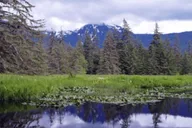 Hoonah Bear Island Shore Excursion thumbnail 2