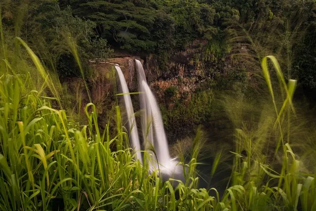 Kauai North Shore Private Guided Tour 6 hr - Image 2