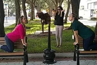 St. Louis Scavenger Hunt by Crazy Dash thumbnail 4