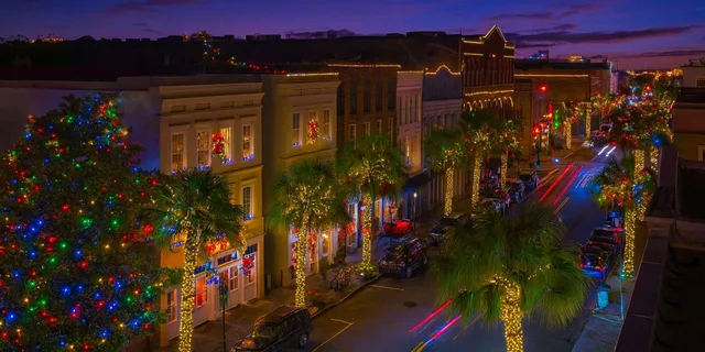 Charleston Holiday Festival of Lights Tour - Image 4