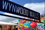 Miami Wynwood Art Private Tour thumbnail 1