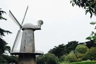 San Francisco Golden Gate Park Surrey Rental thumbnail 5