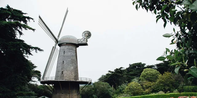 San Francisco Golden Gate Park Surrey Rental - Image 5