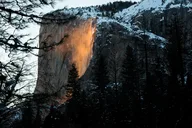 Yosemite Giant Sequoia Grove Hike or Snowshoe thumbnail 4