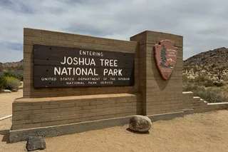 Joshua Tree National Park Private Day Tour