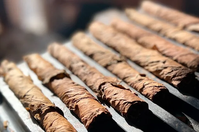 Miami Cigar Rolling Experience - Image 6