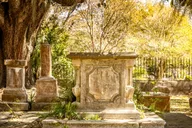 Charleston French Quarter Guided Walking Tour thumbnail 5