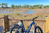Panama City Beach E-Bike Tour thumbnail 5