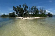 Clearwater Beach Private Pontoon Tour thumbnail 5