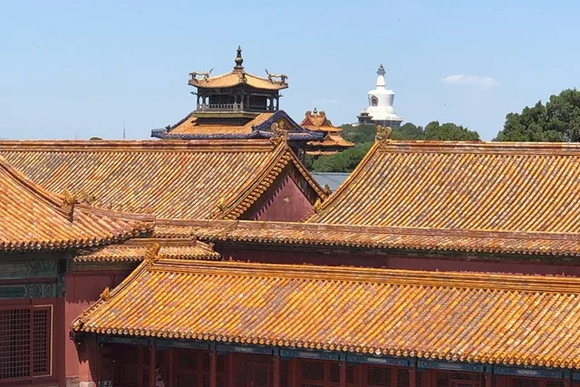 Beijing Forbidden City and Peking Duck Tour - Image 6