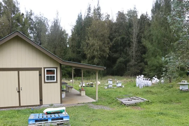 Honokaa Beekeeping Classroom Tour 2 hr - Image 1