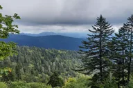 Gatlinburg Smoky Mountain Guided Hike thumbnail 5