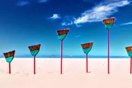 Venice Beach Photography Tour & Photo Session thumbnail 4