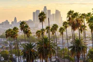 Los Angeles City Tour with Expert Guide thumbnail 2
