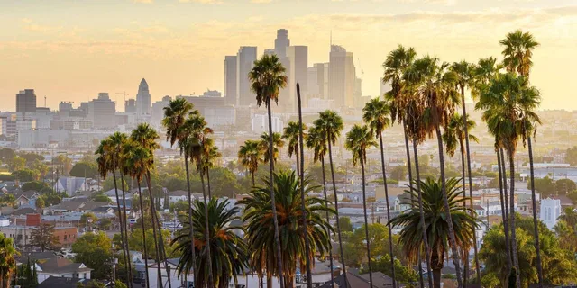 Los Angeles City Tour with Expert Guide - Image 2