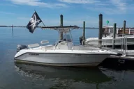 Clearwater Beaches and Waterways Private Tour thumbnail 1