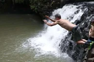Maui Rainforest and Waterfall Walk & Swim thumbnail 4