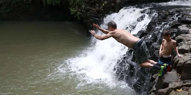 Maui Rainforest and Waterfall Walk & Swim - Image 4
