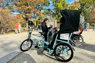 New York City Central Park Pedicab Tour 60 Min thumbnail 1