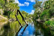 Upper Manatee River Stand Up Paddle Board Tour 2 hr thumbnail 4