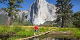 San Francisco Yosemite National Park 2-Day Tour