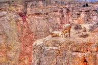 Las Vegas Red Rock Canyon Self-Guided Audio Tour thumbnail 6