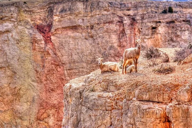 Las Vegas Red Rock Canyon Self-Guided Audio Tour - Image 6