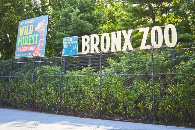 New York Bronx Zoo Tour with Private Transfers - Image 1