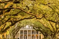 New Orleans Oak Alley Plantation Tour 5.5 hr thumbnail 1