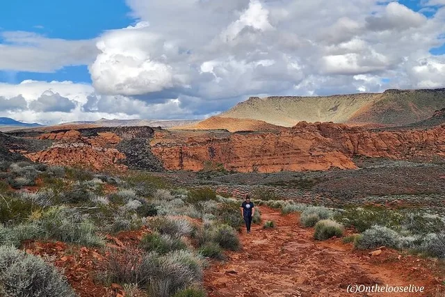 Snow Canyon Petroglyphs Hike - Image 4