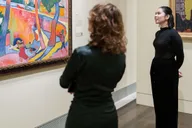 Houston Museum of Fine Arts Admission Ticket thumbnail 5