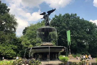 New York Central Park and Upper East Side Walking Tour