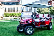 Nashville Murals Instagram Tour by Golf Cart thumbnail 6