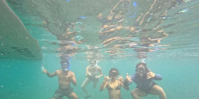 Lahaina Snorkeling Tour at Olowalu Reef - Image 4