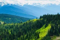 Seattle Olympic National Park Day Tour thumbnail 1