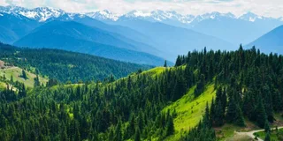 Seattle Olympic National Park Day Tour